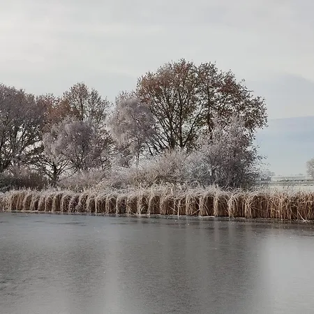 Park De Driesprong 여관 Nieuwveen