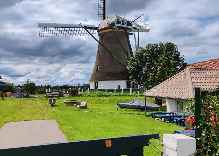 Park De Driesprong ニーウフェーン