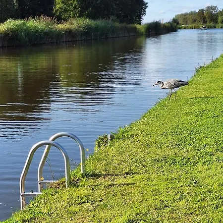 Park De Driesprong *