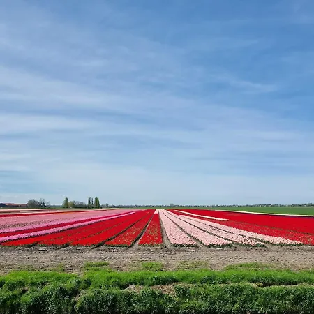 イン Park De Driesprong