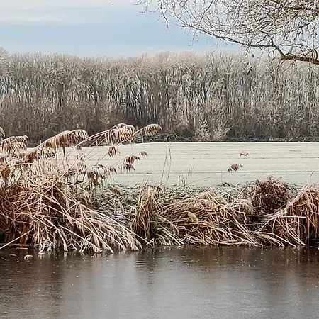 イン Park De Driesprong ニーウフェーン