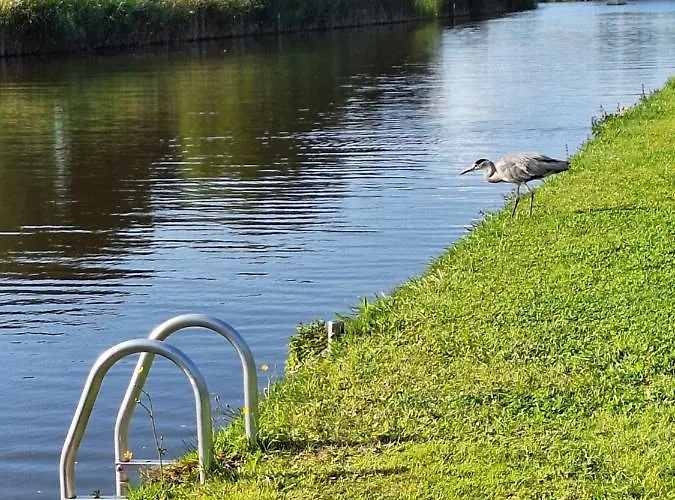 Park De Driesprong *