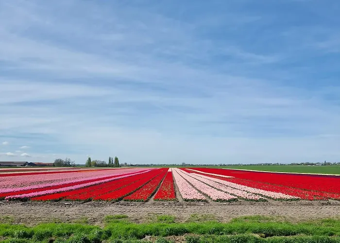 Fogadó Park De Driesprong
