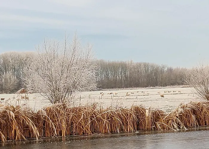 Park De Driesprong Fogadó *