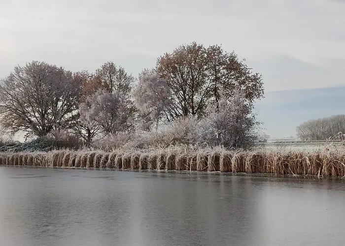 Park De Driesprong Fogadó Nieuwveen