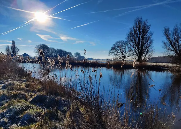 Park De Driesprong *