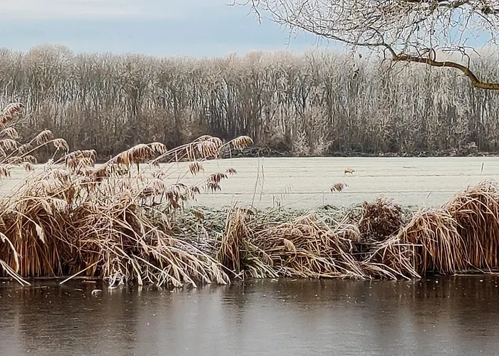 Fogadó Park De Driesprong Nieuwveen